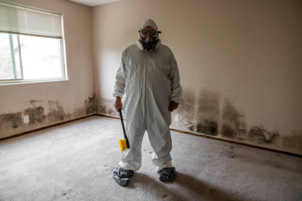 Best Mold Remediation Experts  in Salado, TX
